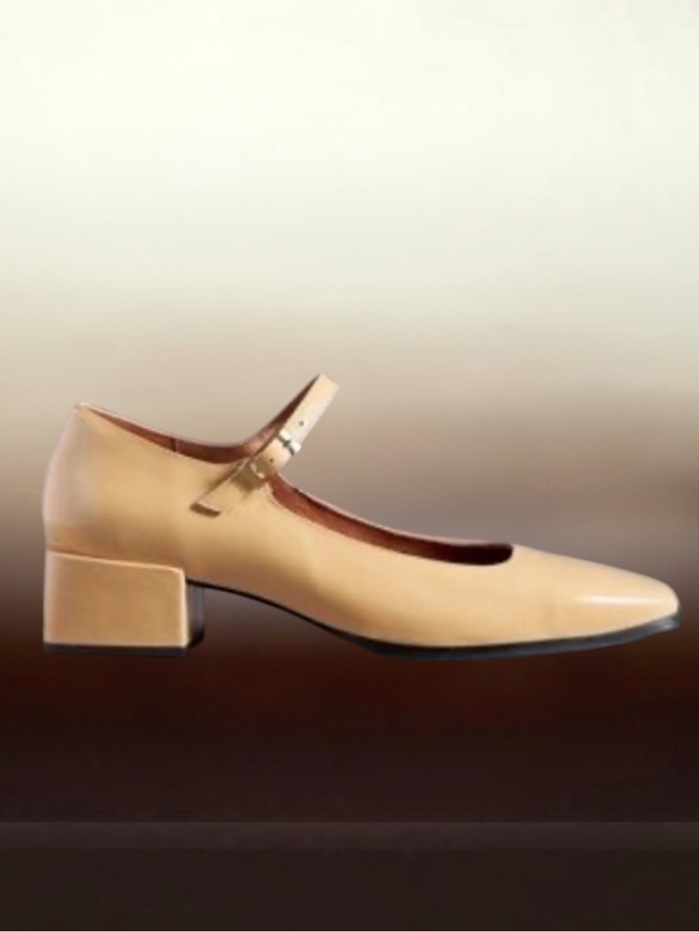 Anthropologie Maeve Bibi Lou Cardiff Mary Jane Block Heel